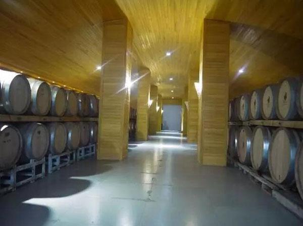 源于情懷,看姜莊主如何在新疆沙漠打造中國(guó)最大的&ldquo;休閑農(nóng)莊&rdquo;!