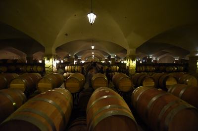 小葡萄撬動大產(chǎn)業(yè)