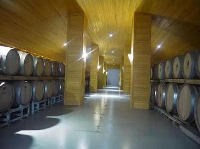 源于情懷,看姜莊主如何在新疆沙漠打造中國(guó)最大的&ldquo;休閑農(nóng)莊&rdquo;! - 今日頭條(www.toutiao.com)