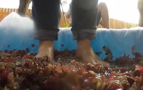 用腳踩出來的葡萄酒更高級 看完制作過程,網友直呼 不想喝了