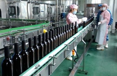 瀘州老窖進軍紅酒業(yè):中馬欽州產(chǎn)業(yè)園區(qū)紅酒生產(chǎn)項目開工