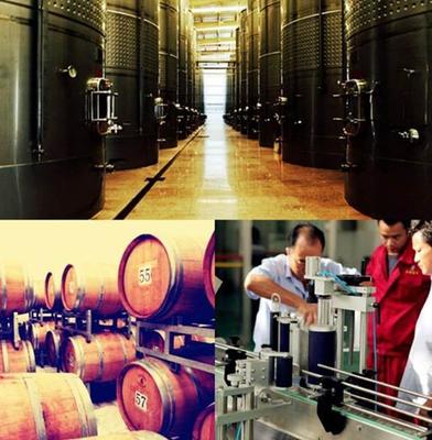 助力巴州文旅推介會 金恪罄玉酒莊打造休閑度假新業(yè)態(tài)