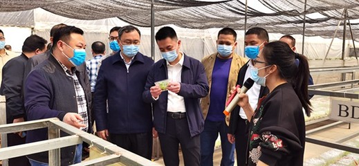 自治區發展改革委定點幫扶都安縣駐村工作隊赴南寧市、百色市開展鄉村振興調研