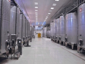 楊梅果酒加工設備