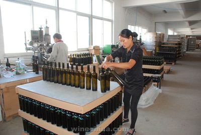 玻璃的世界 驀然的天空