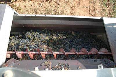 紅酒與葡萄酒 名稱的由來與工藝的區別